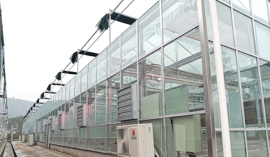 China tropical pc greenhouses and commercial