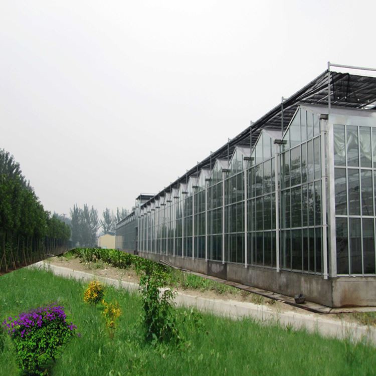 Supporting system and use of glass greenhouse Supporting system and use of glass greenhouse