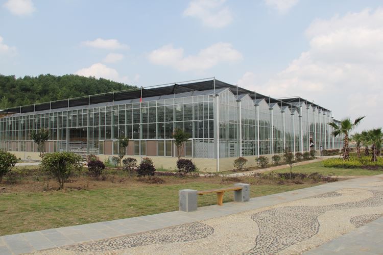 Greenhouse Company