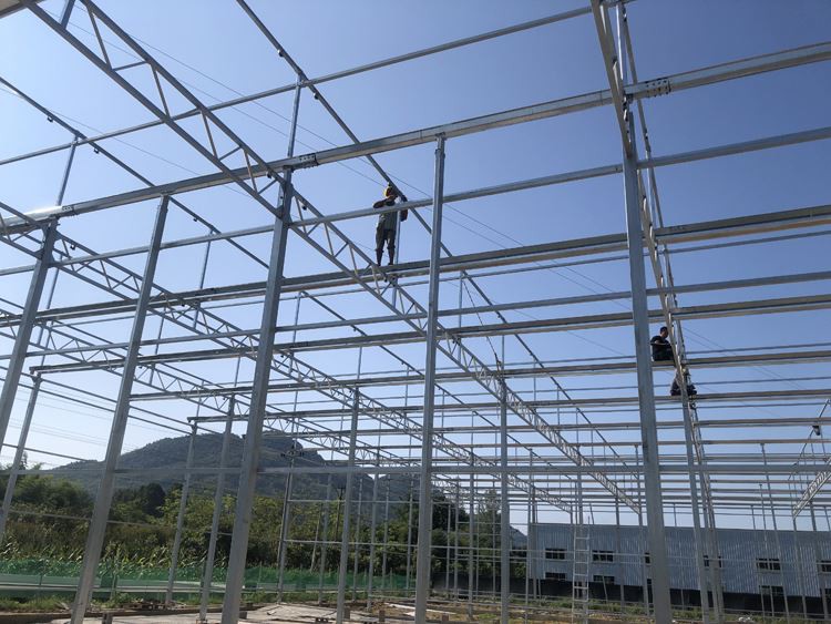 Glass greenhouse structure