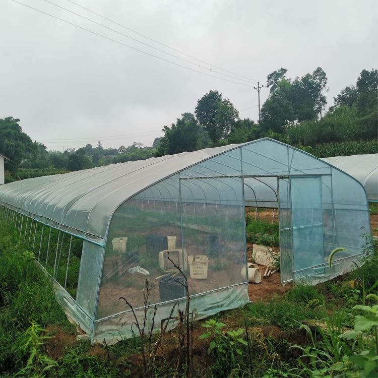 How should the multi-span greenhouse be dehumidified How should the multi-span greenhouse be dehumidified