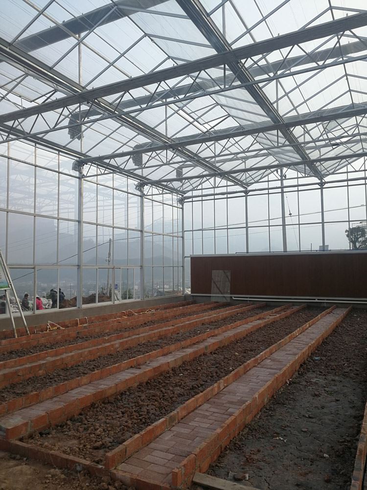 Glass Tunnel Greenhouse For Agricultural Glass Tunnel Greenhouse For Agricultural