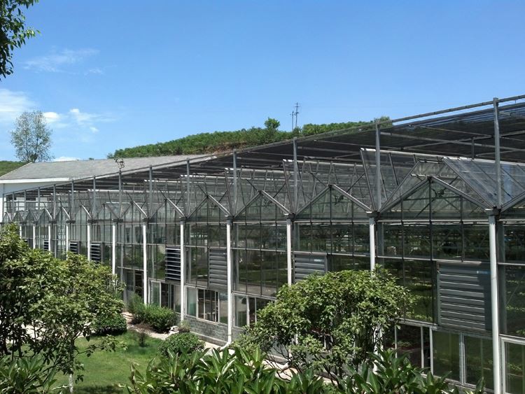 Intelligent Greenhouse