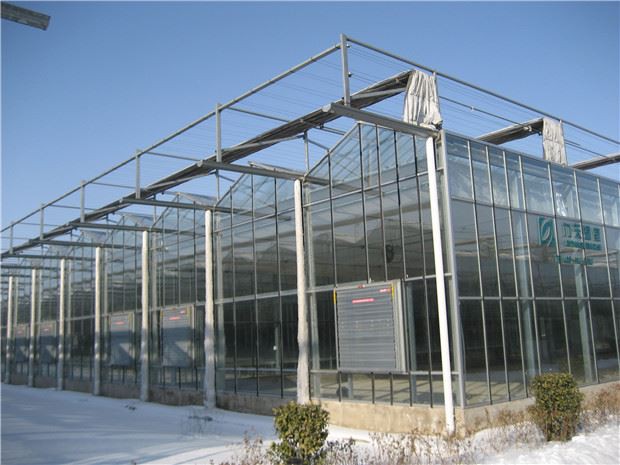Lighting and insulation precautions for solar greenhouses