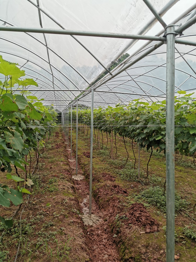 The cost of greenhouse