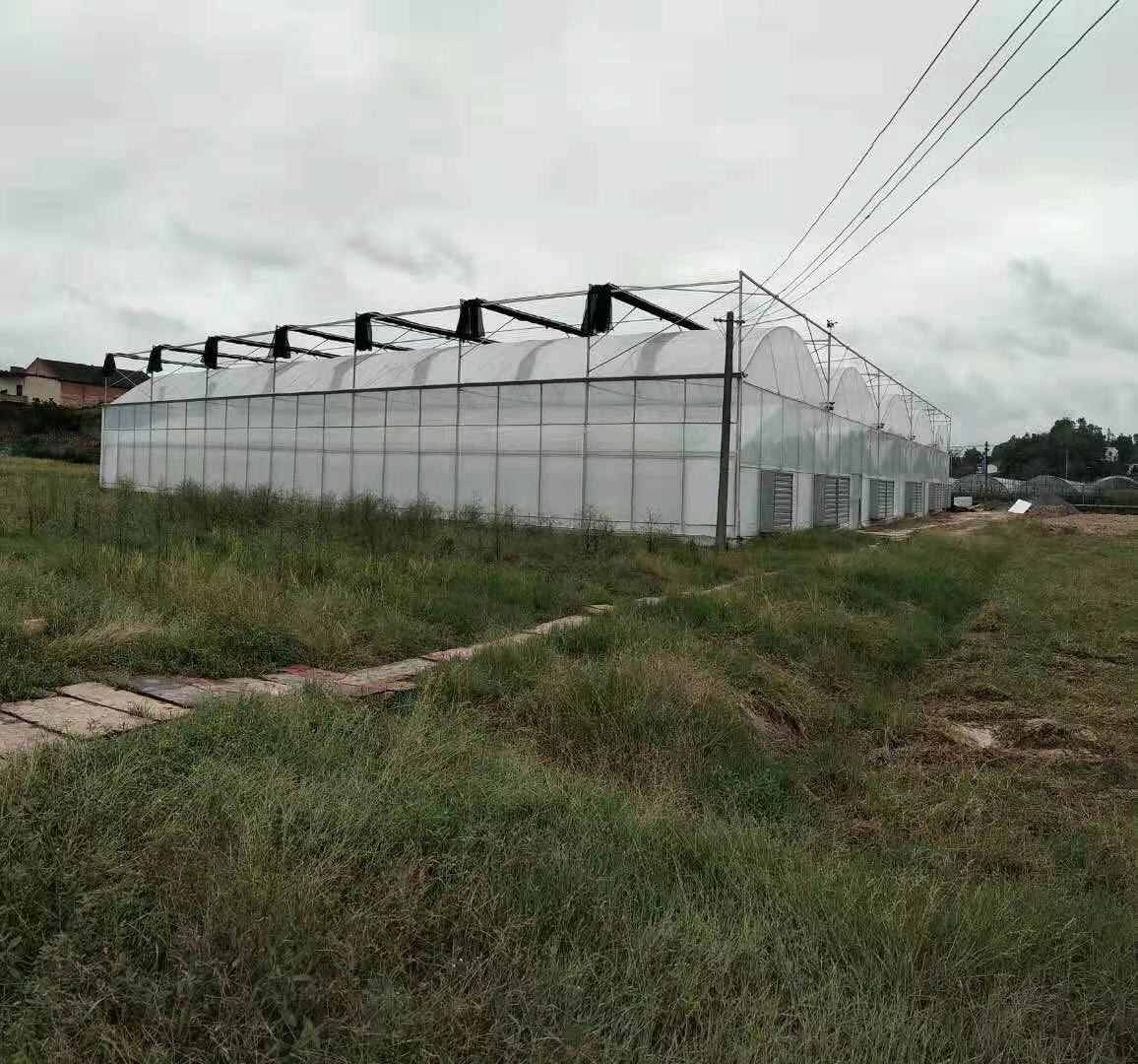 Flexible watering while watching the sky during the construction of a solar greenhouse with columns Flexible watering while watching the sky during the construction of a solar greenhouse with columns