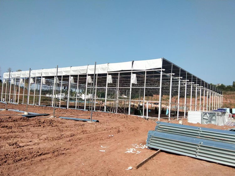 How to effectively cool down the vegetable greenhouse How to effectively cool down the vegetable greenhouse