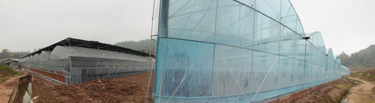 Plastic Greenhouse Plastic Greenhouse