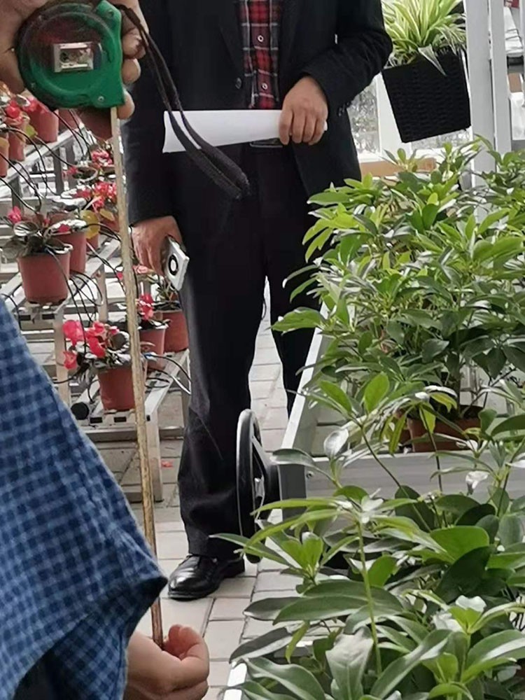 Glass Greenhouse Glass Greenhouse