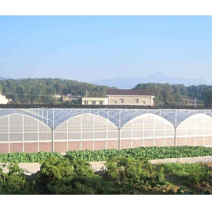 200 micron plastic greenhouse supplier