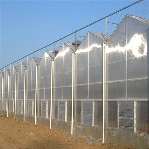 Landbrug Multi-span Drivhus