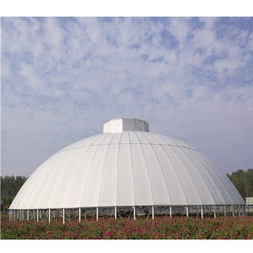Victorian Geodesic Dome Agriculture Greenhouse